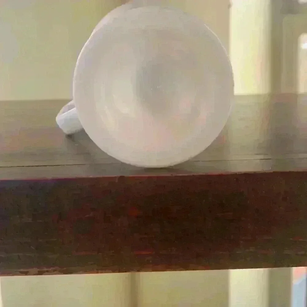 North Carolina Souvenir Mug Featuring A Northern Cardinal And American Dogwood